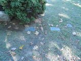 ../thumbnails/059-dsc00414.jpeg.small.jpeg